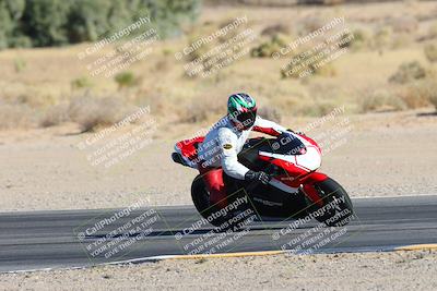 media/Jan-13-2025-Ducati Revs (Mon) [[8d64cb47d9]]/2-A Group/Session 3 Turn 9 Backside/